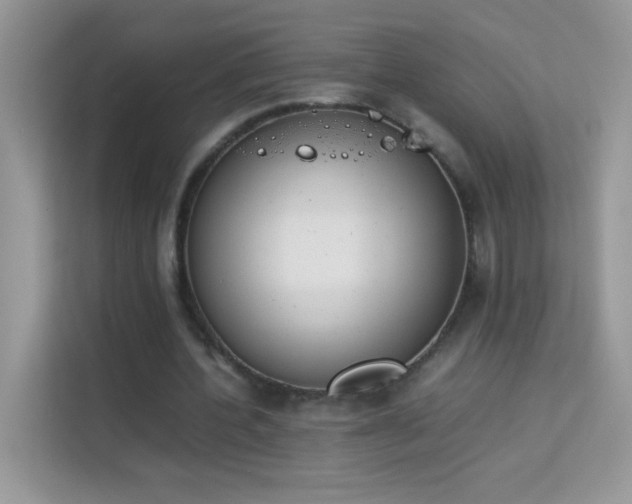 X0000114230532200910091450