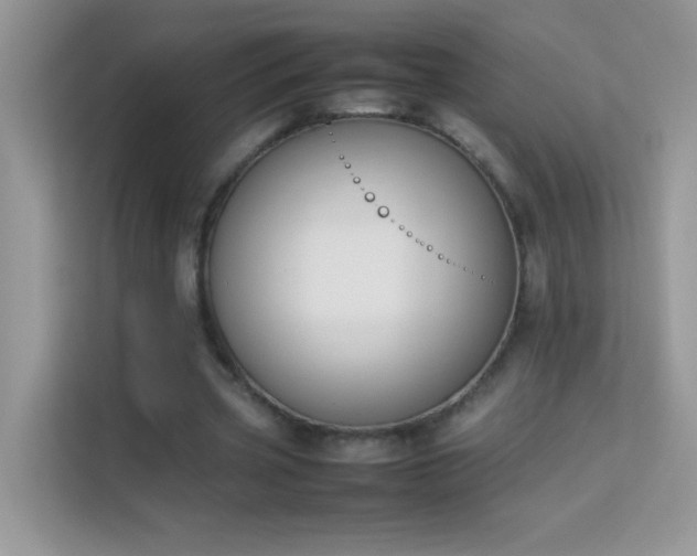 X0000114230533200910091450
