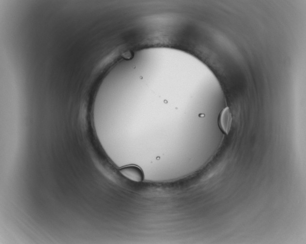 X0000114230538200910091450