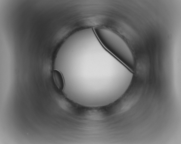 X0000114230544200910091450