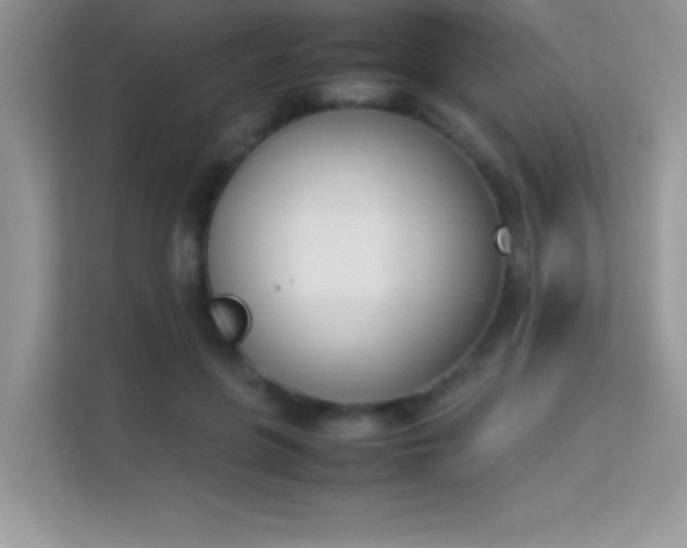 X0000114230551200910091450