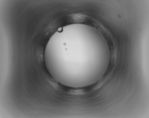 X0000114230553200910091451