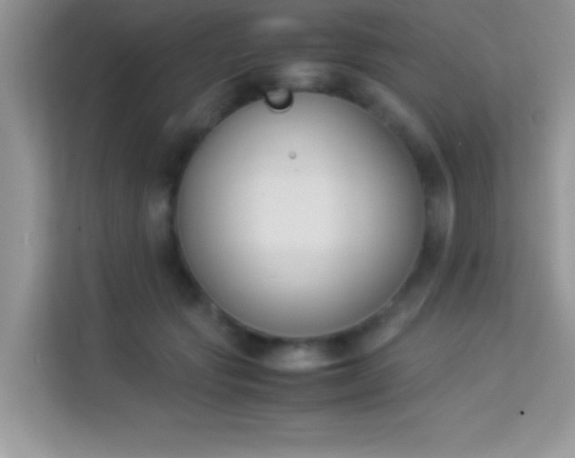 X0000114230557200910091451
