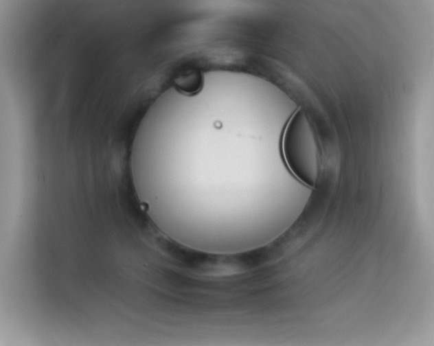 X0000114230559200910091451