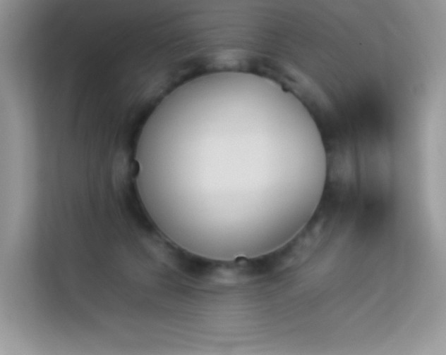 X0000114230560200910091451