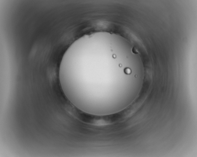 X0000114230561200910091451