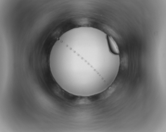 X0000114230572200910091451