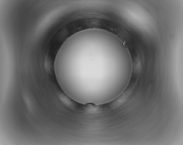 X0000114230574200910091451
