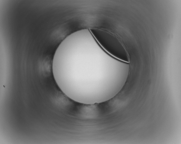 X0000114230576200910091451