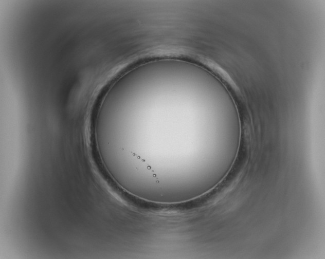 X0000114230581200910091450