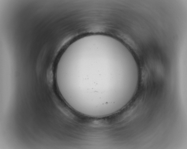 X0000114230584200910091450