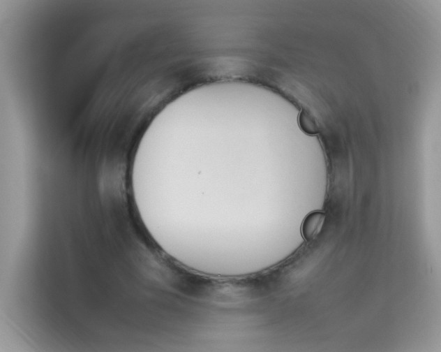 X0000114230585200910091450