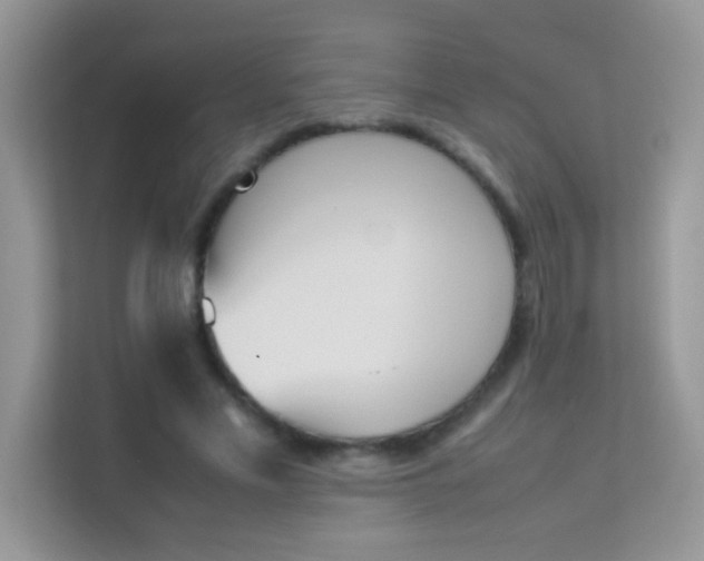 X0000114230589200910091450