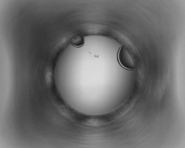 X0000114230596200910091450