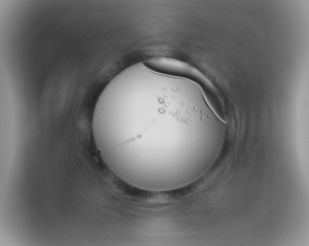 X0000114230609200910091450