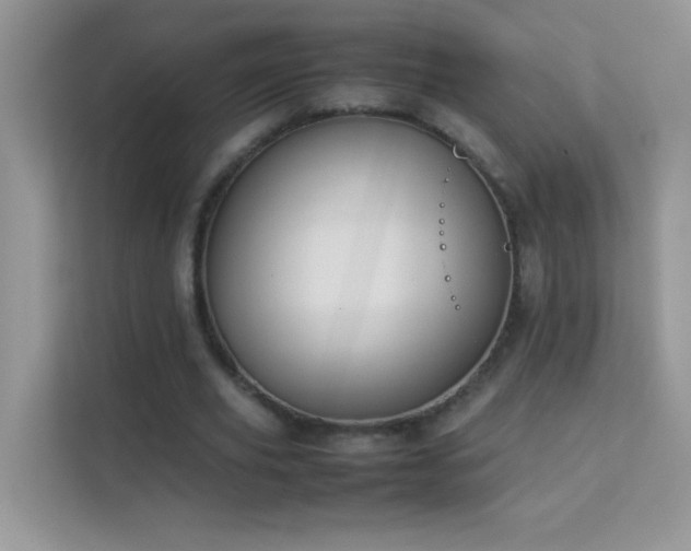 X0000114230629200910091449