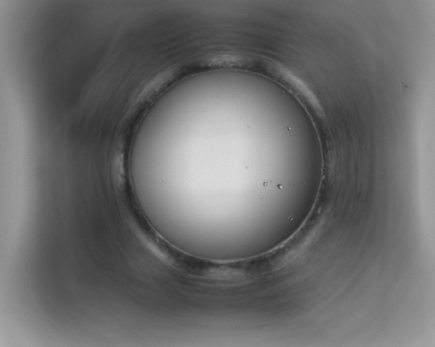 X0000114230633200910091449