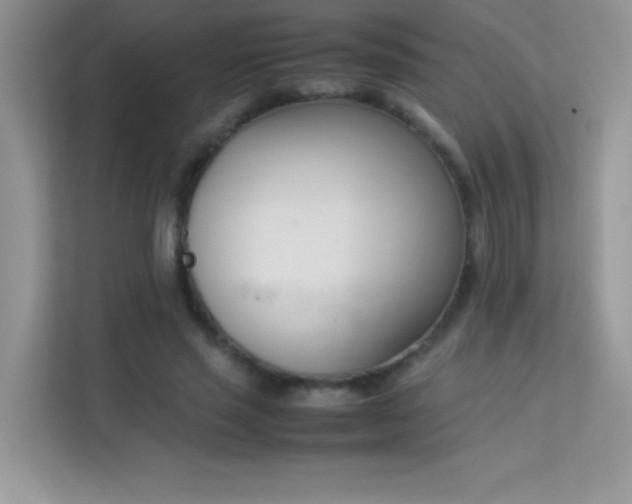 X0000114230637200910091449