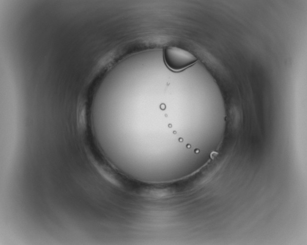 X0000114230638200910091449
