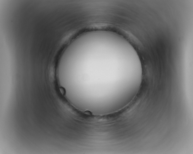 X0000114230640200910091449