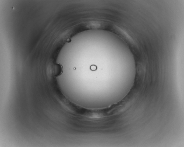 X0000114230645200910091449