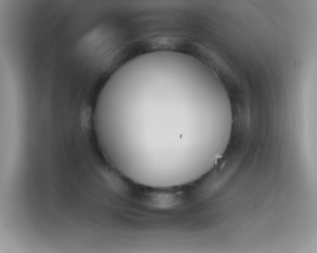 X0000114230649200910091449