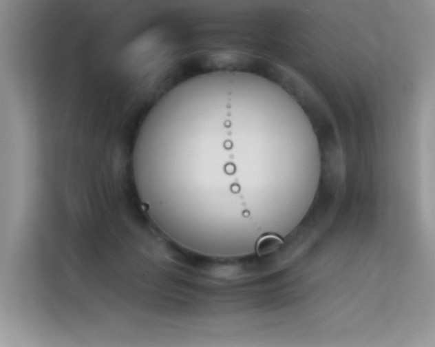 X0000114230653200910091449
