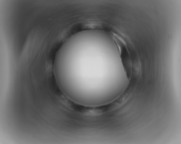 X0000114230657200910091449