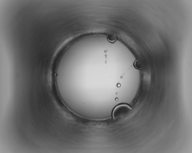 X0000114230676200910091449