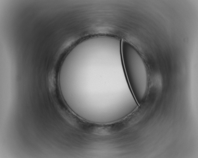 X0000114230680200910091449