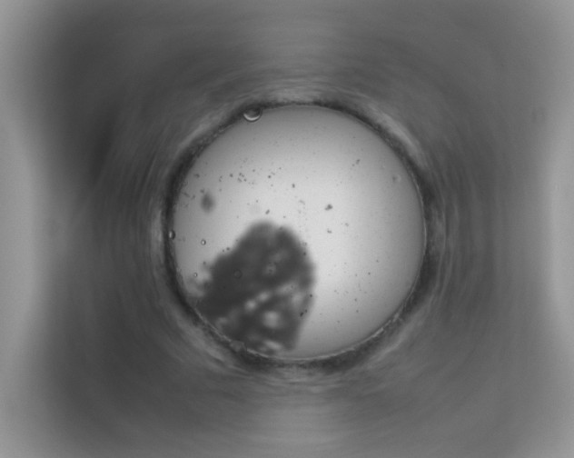 X0000114230681200910091449
