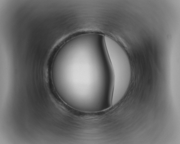 X0000114230684200910091449