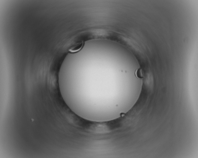 X0000114230715200910091448