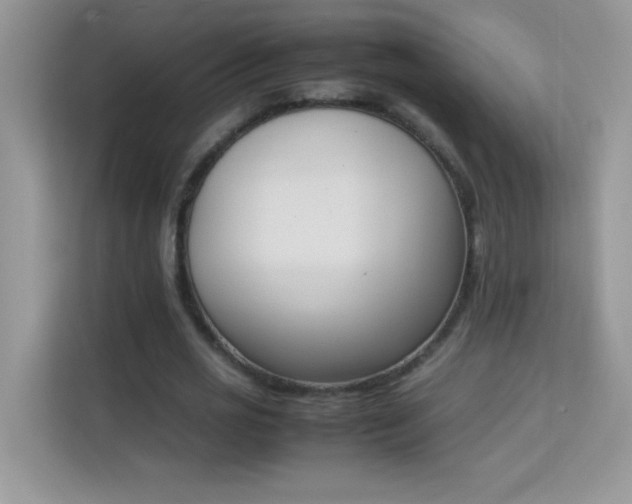 X0000114230725200910091448