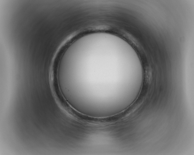 X0000114230726200910091448