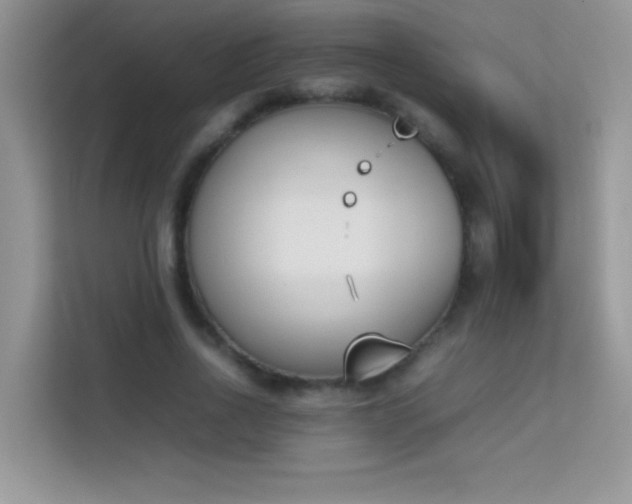 X0000114230734200910091448