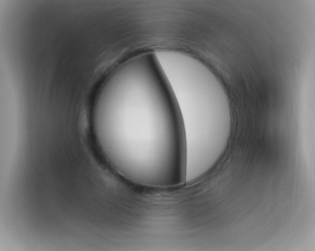X0000114230740200910091448
