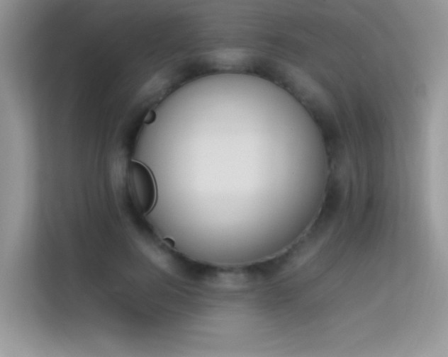 X0000114230744200910091448