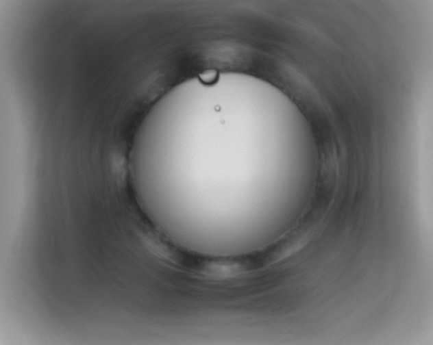 X0000114230749200910091448