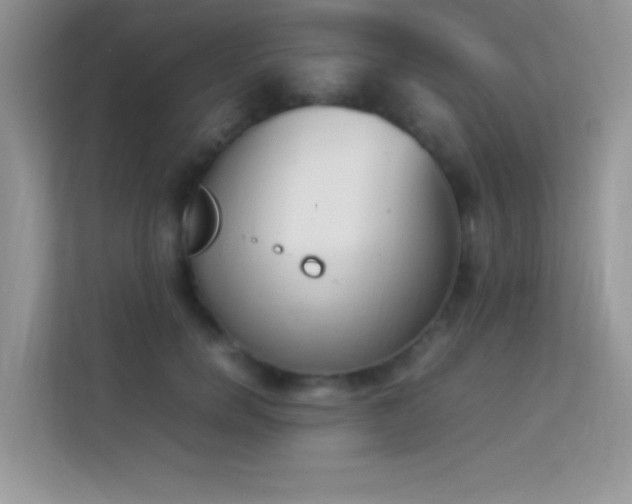 X0000114230750200910091448