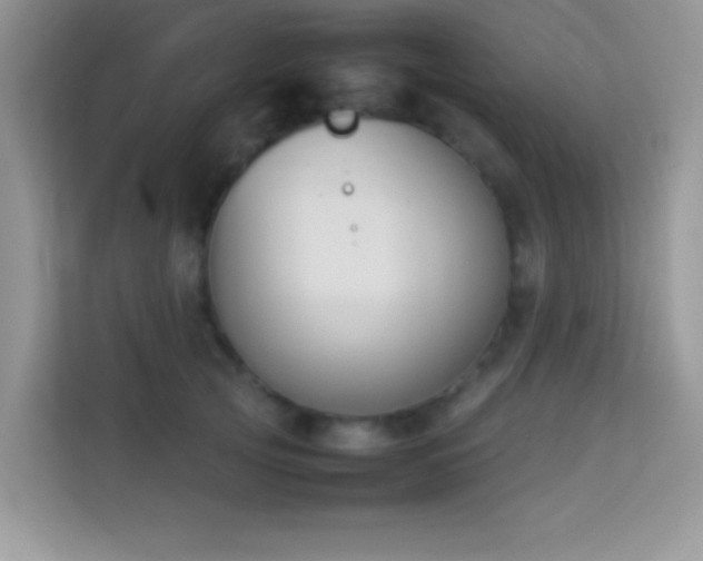 X0000114230753200910091448