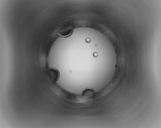 X0000114230757200910091448