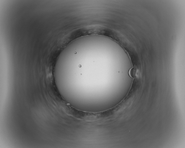 X0000114230771200910091448