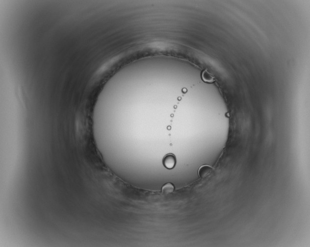 X0000114230776200910091448