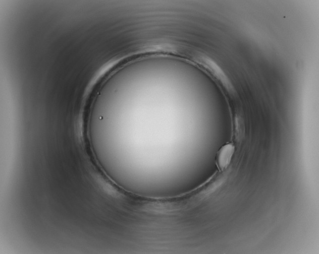 X0000114230780200910091448