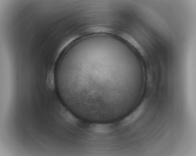 X0000114230782200910091448