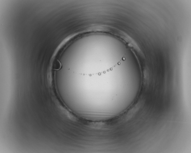 X0000114230784200910091447