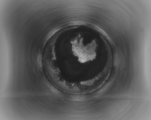 X0000114230786200910091447