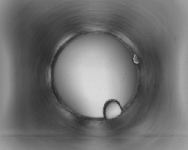 X0000114230790200910091447