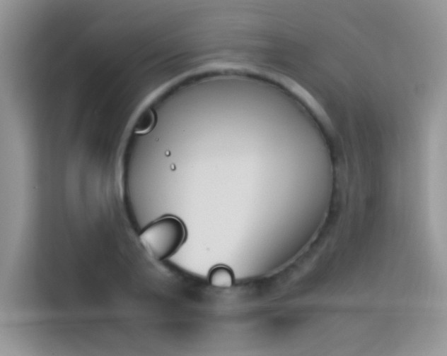 X0000114230791200910091447